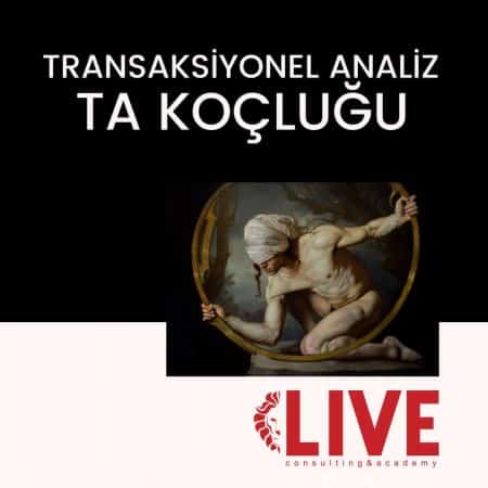 Transaksiyonel Analiz (TA) Koçluğu