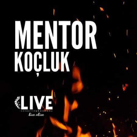 Mentor Koçluğu